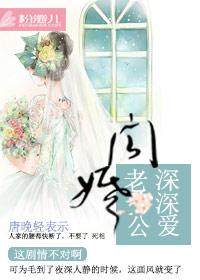 闪婚老公深深爱全文免费阅读