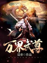 万界武尊叶枫完整版作者无忧